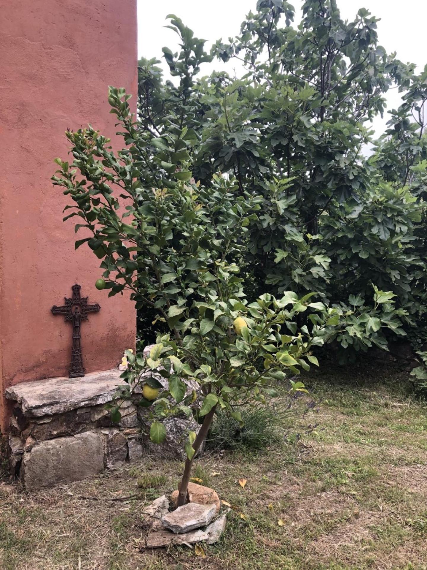 Вілла El Refugio Reynes Екстер'єр фото