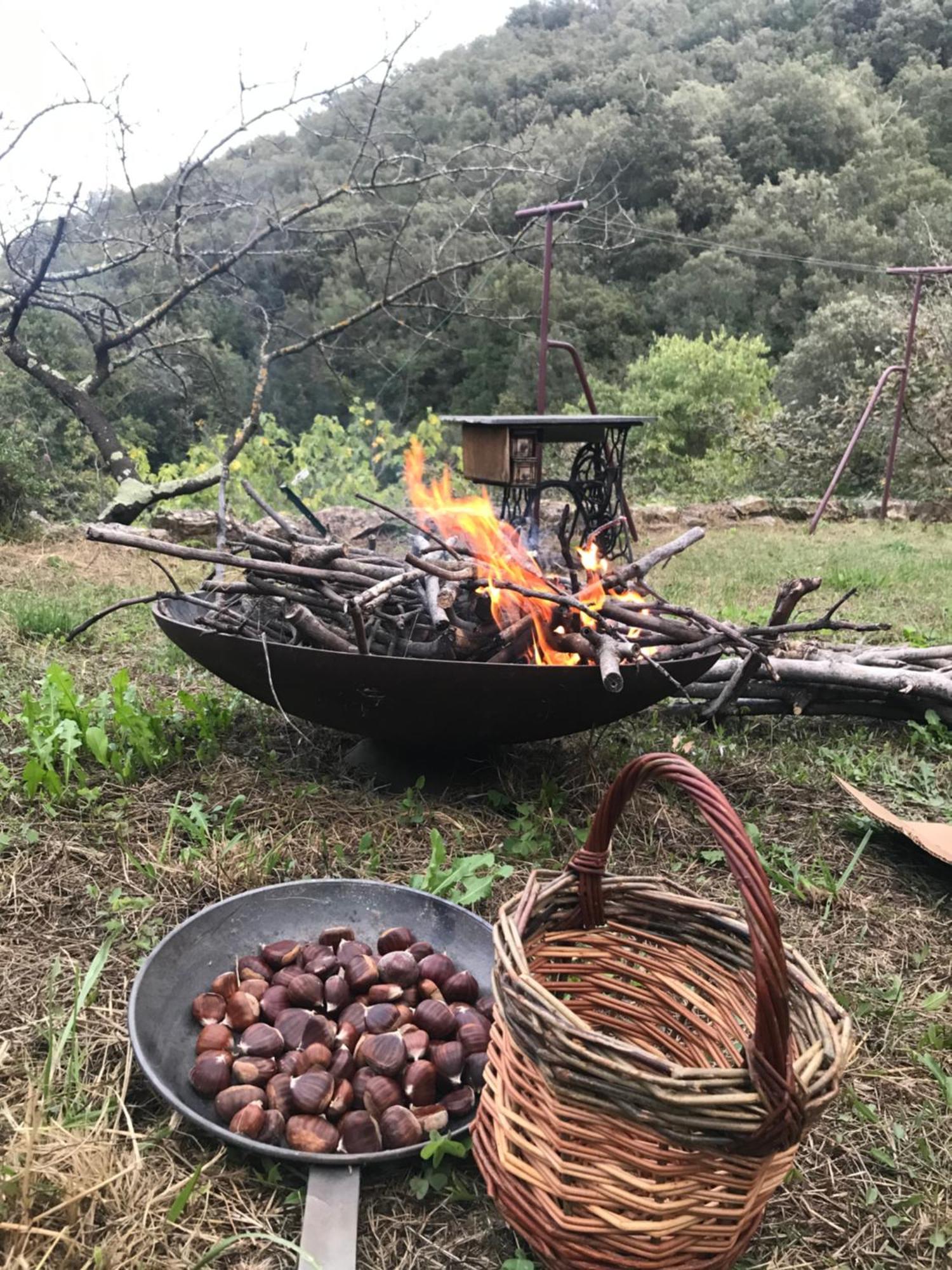 Вілла El Refugio Reynes Екстер'єр фото